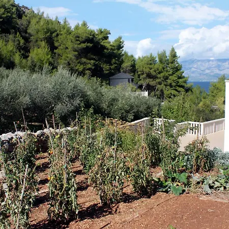 By The Sea Cove Bristova, Hvar - 5716