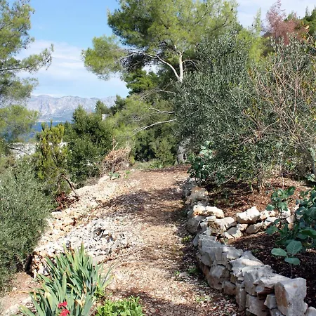 Apartment By The Sea Cove Bristova, Hvar - 5716